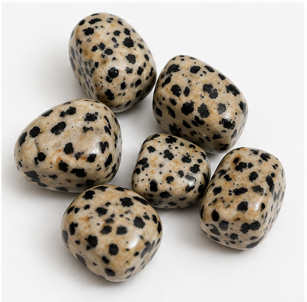 Dalmatian Jasper Tumbled Stone